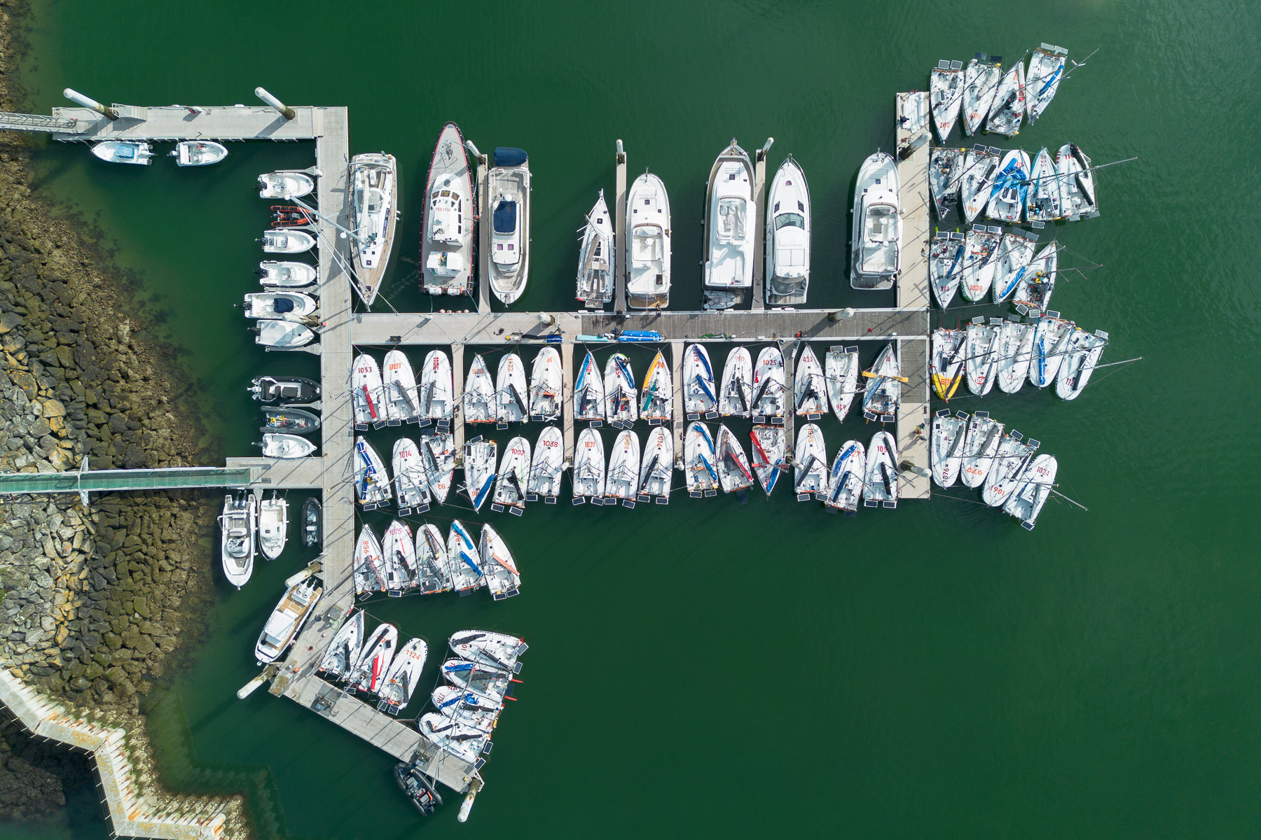 gallery grid image